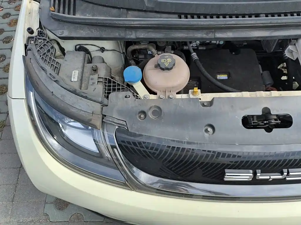 BYD Dolphin 2022 2021 405km Freedom Edition