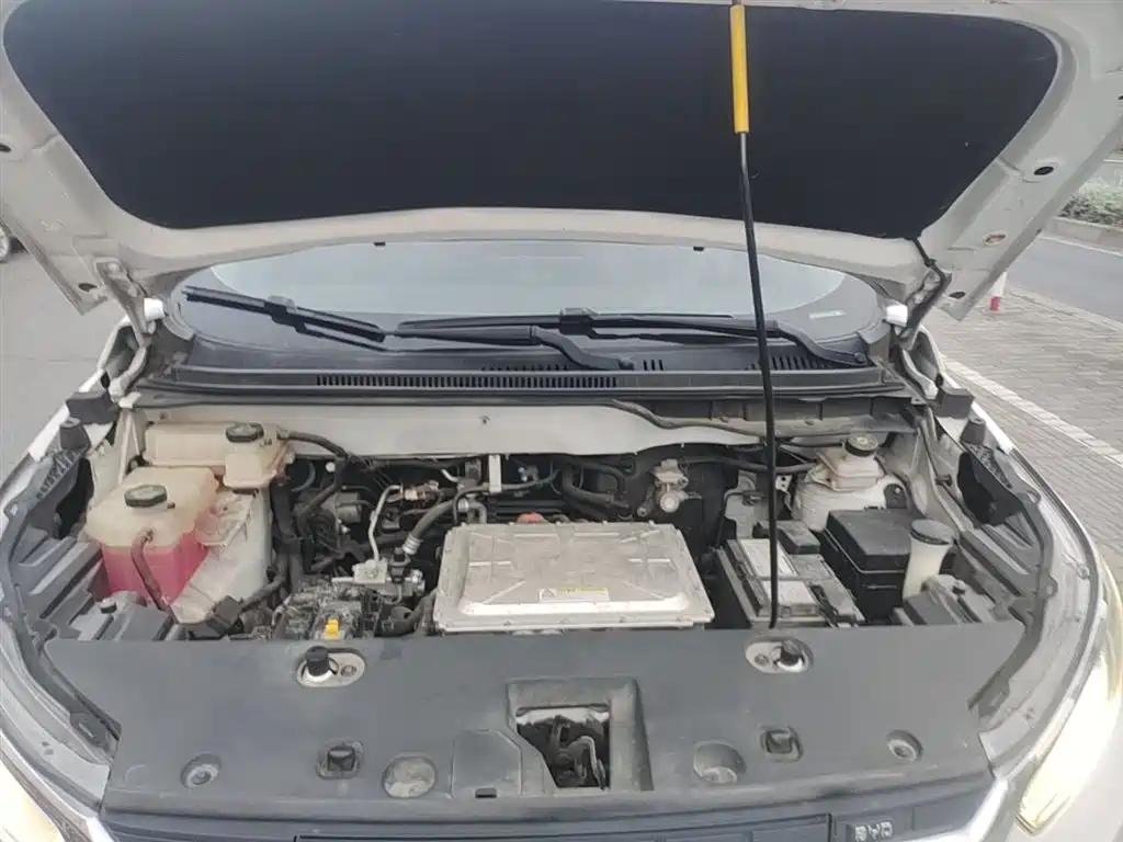 BYD Yuan New Energy 2019 EV535 Smart Connected Trend Leader Type фото 20