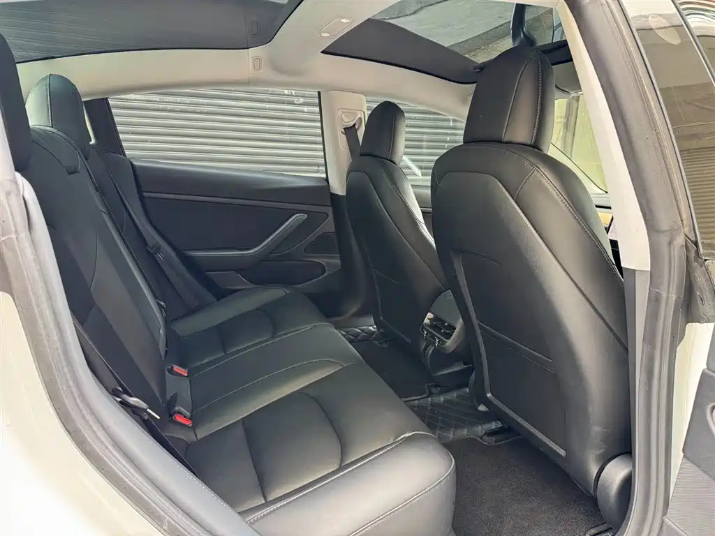 Tesla Model 3 2019 Standard Range Rear-Wheel Drive Upgrade фото 13