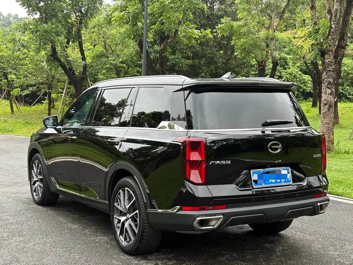GAC Trumpchi Trumpchi GS8 2025 2025 Pilot Series 2.0TGDI 2WD Luxury Edition 5-seater