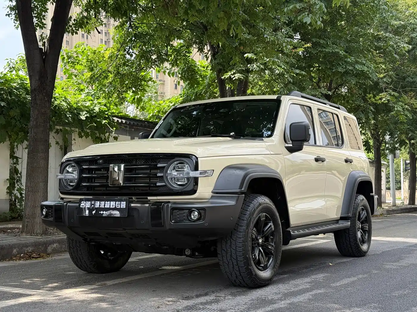 Tank 300 2.0T Gasoline Conqueror