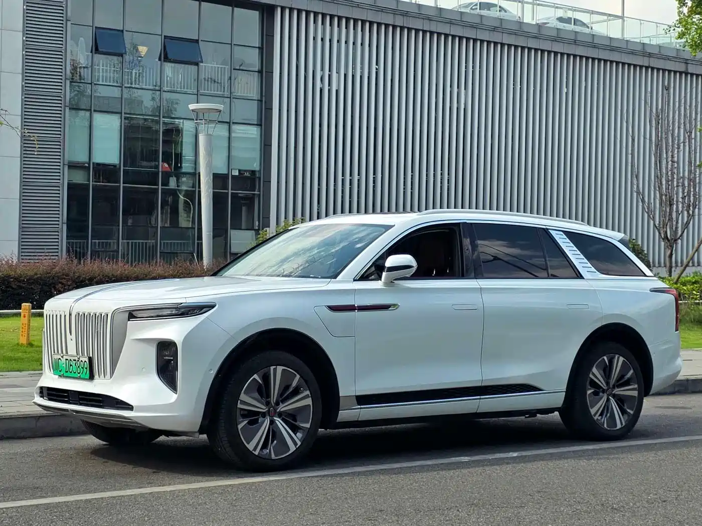 Hongqi E-HS9 2021
