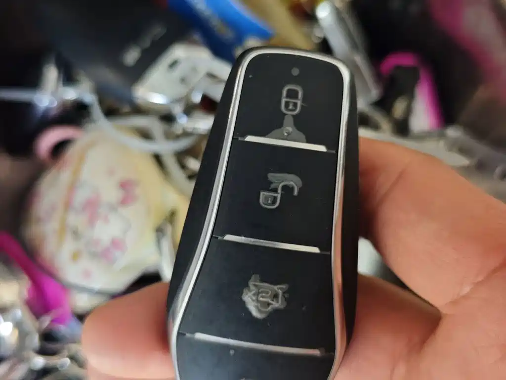 BYD M9 2025 2025 Model 1060 Pilot Edition