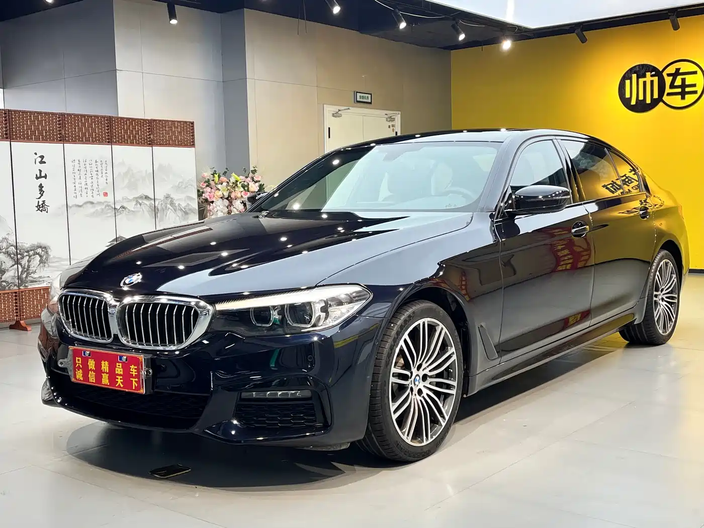 BMW 5 Series 2019 530Li Leading M Sport Package