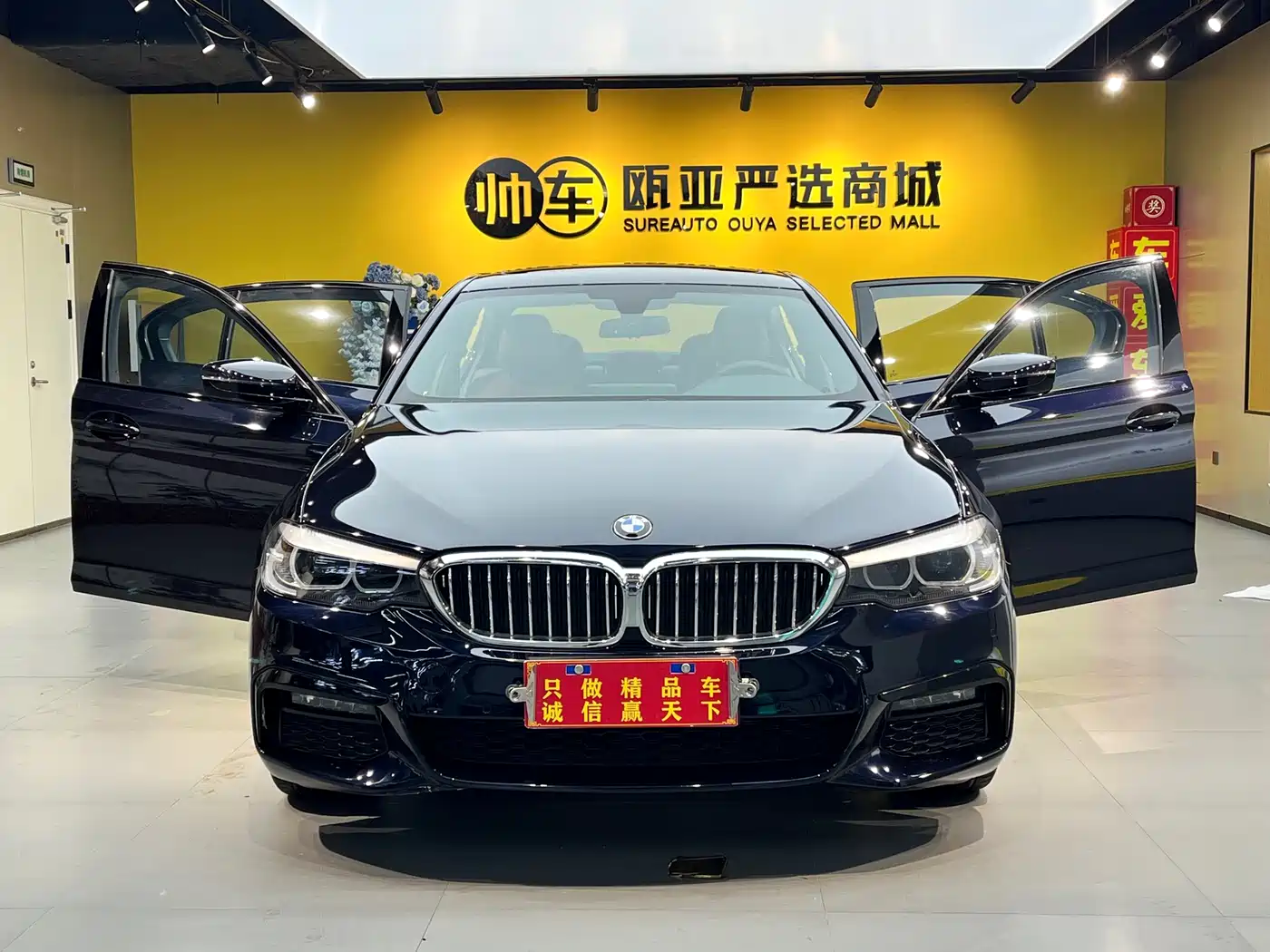 BMW 5 Series 2019 530Li Leading M Sport Package фото 9