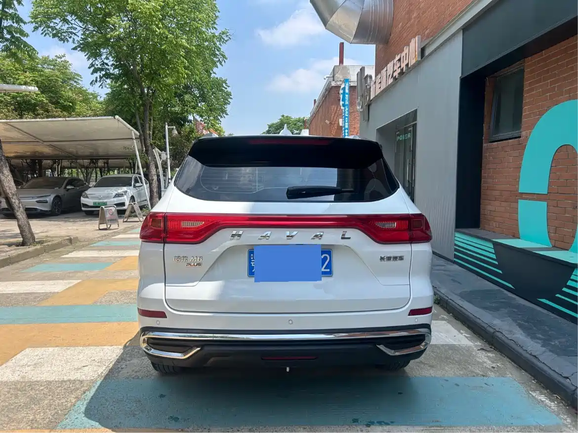 Haval M6 2024 PLUS 1.5T DCT Peanut Auto Custom Edition фото 8