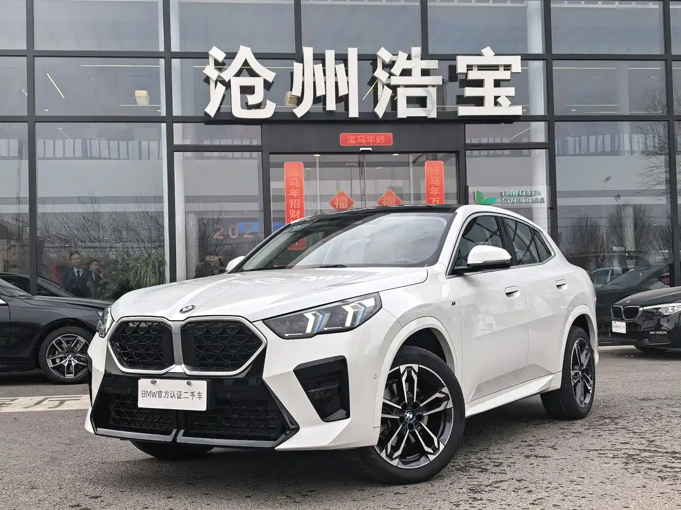 BMW X2 (Import) 2024 sDrive25i M Sport Package