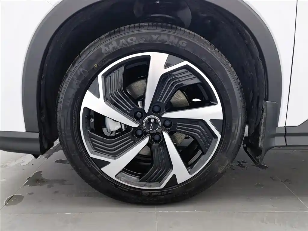 BYD SEA LION 05 DM I