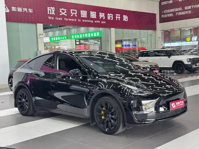 Tesla Model Y 2024 Long Range AWD — фото 3