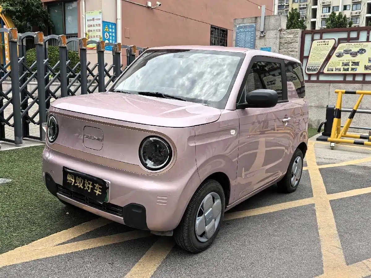 Geely Galaxy Panda 2024 Panda mini 200km Longteng PRO Edition