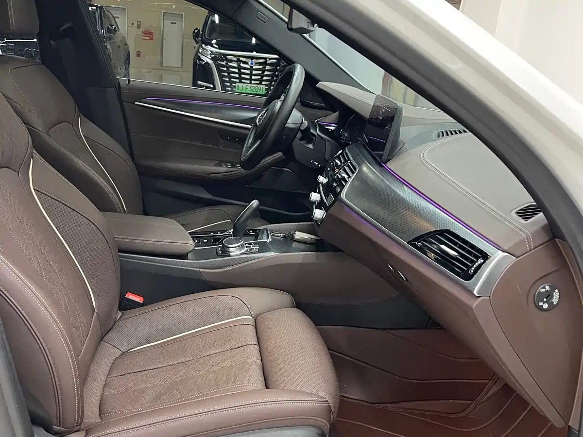 BMW 5 SERIES NEW ENERGY