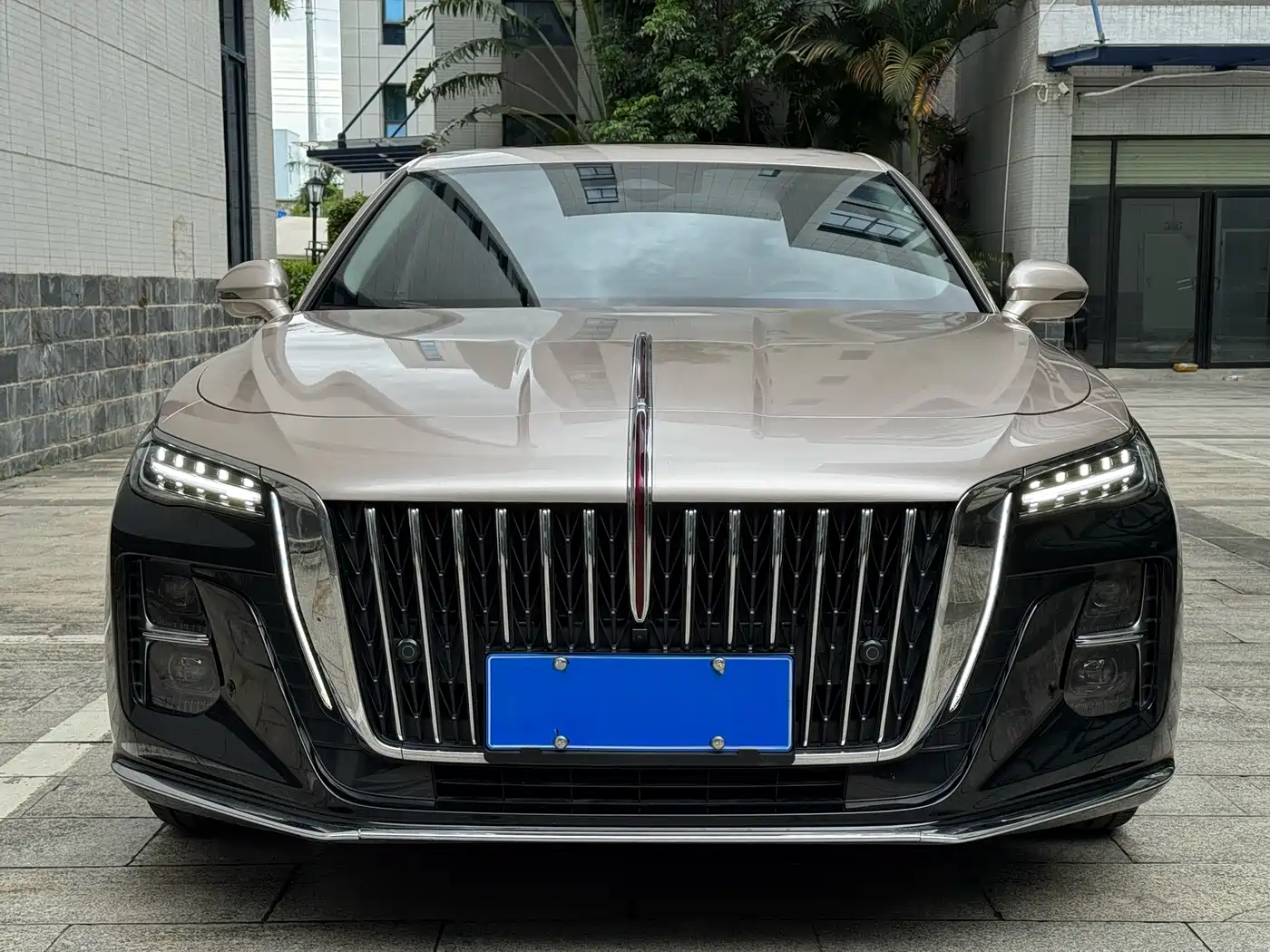 Hongqi H5 2023 2.0T Auto Smart Connect Flag Comfort фото 2