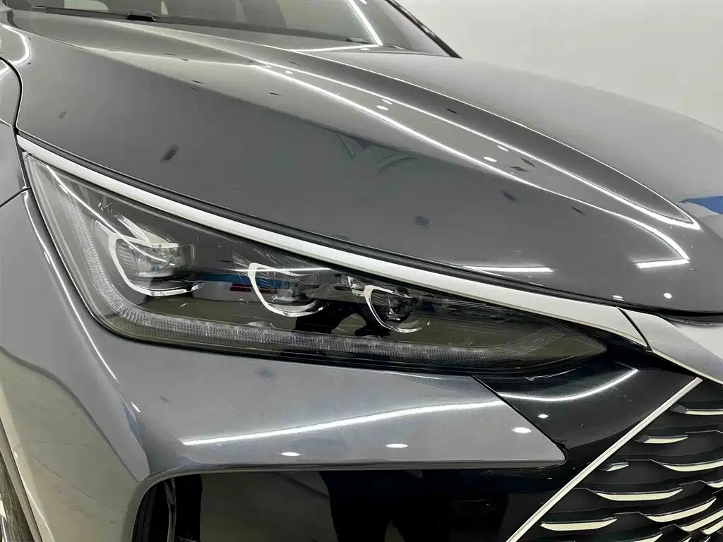 BYD Tang New Energy 2025 DM-i 115KM Prestige Type фото 7