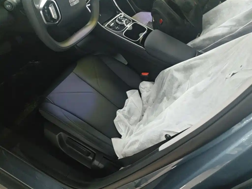 Geely Galaxy Galaxy Stellar 6 2025 Model 125km Free Edition фото 15