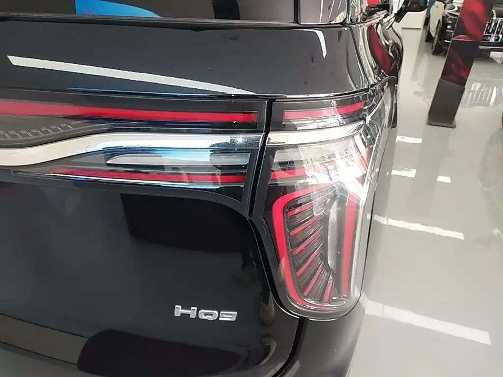 Фото 8 - Hongqi HQ9
