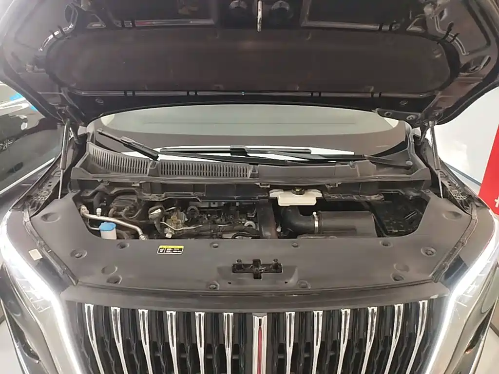 Фото 20 - Hongqi HQ9