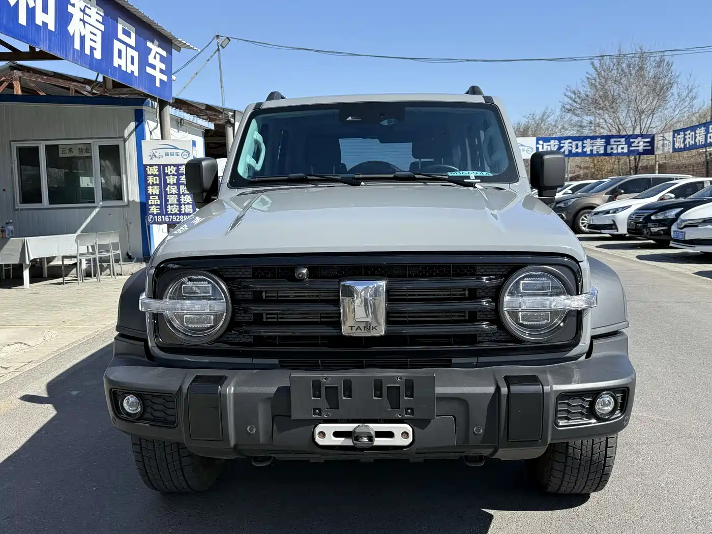 Tank 300 2021 Off-road Version 2.0T Conqueror фото 2