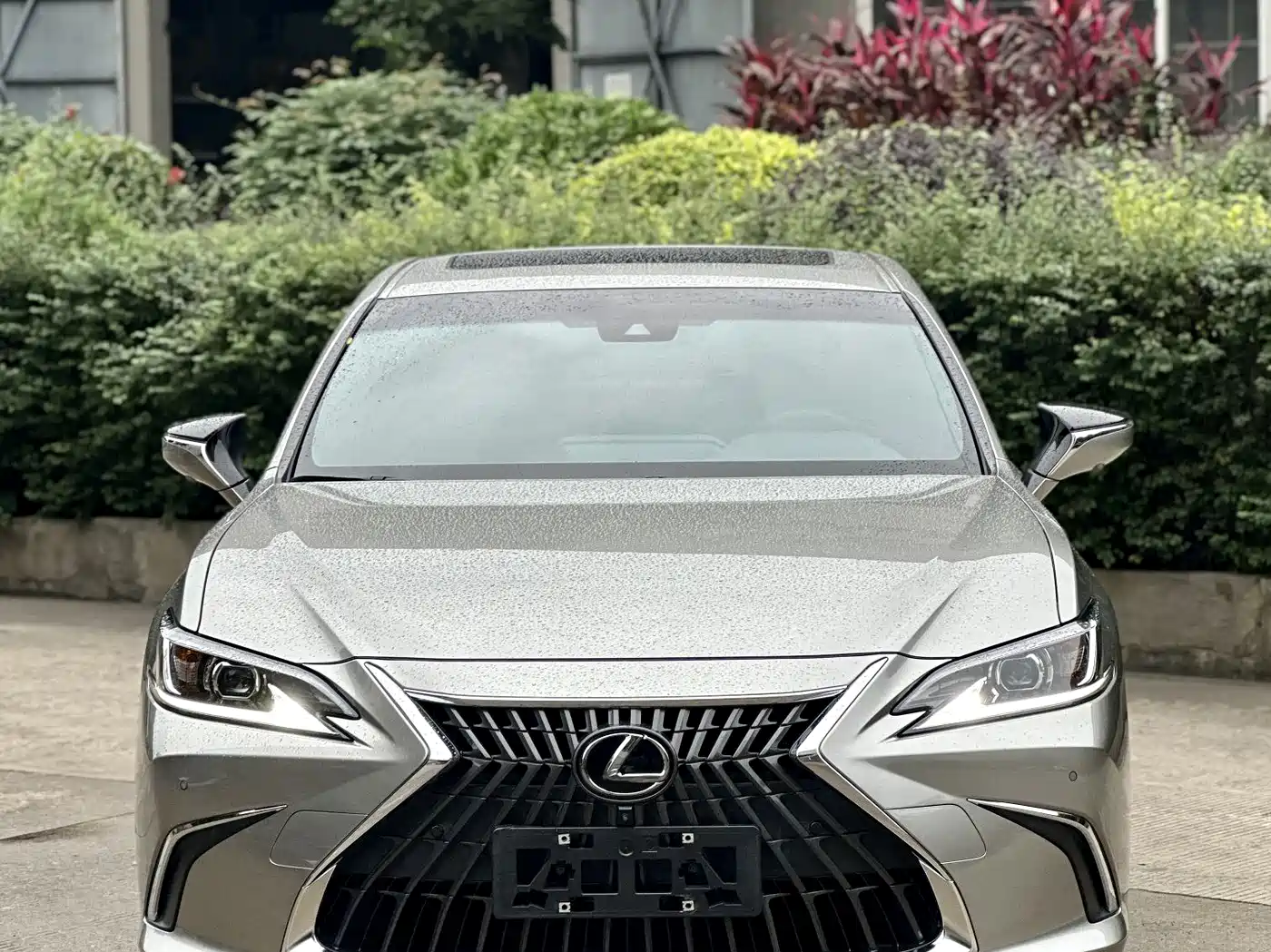 Lexus ES 2021 200 Excellence Edition фото 4
