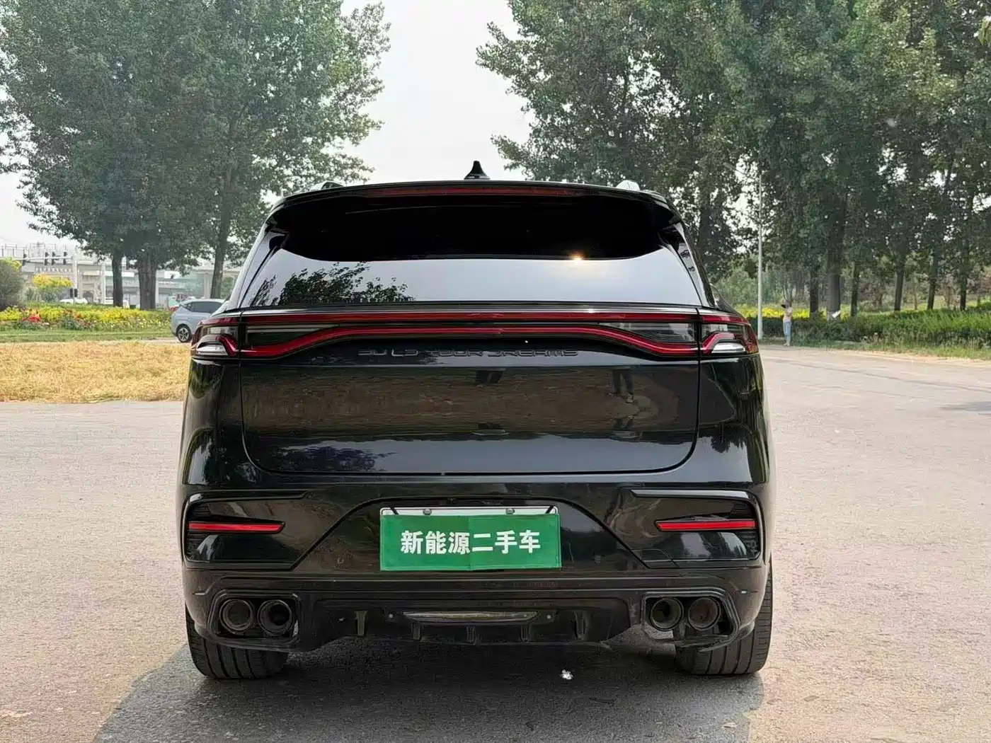 BYD Tang New Energy 2023 Model DM-i Champion Edition 112KM Honor фото 9