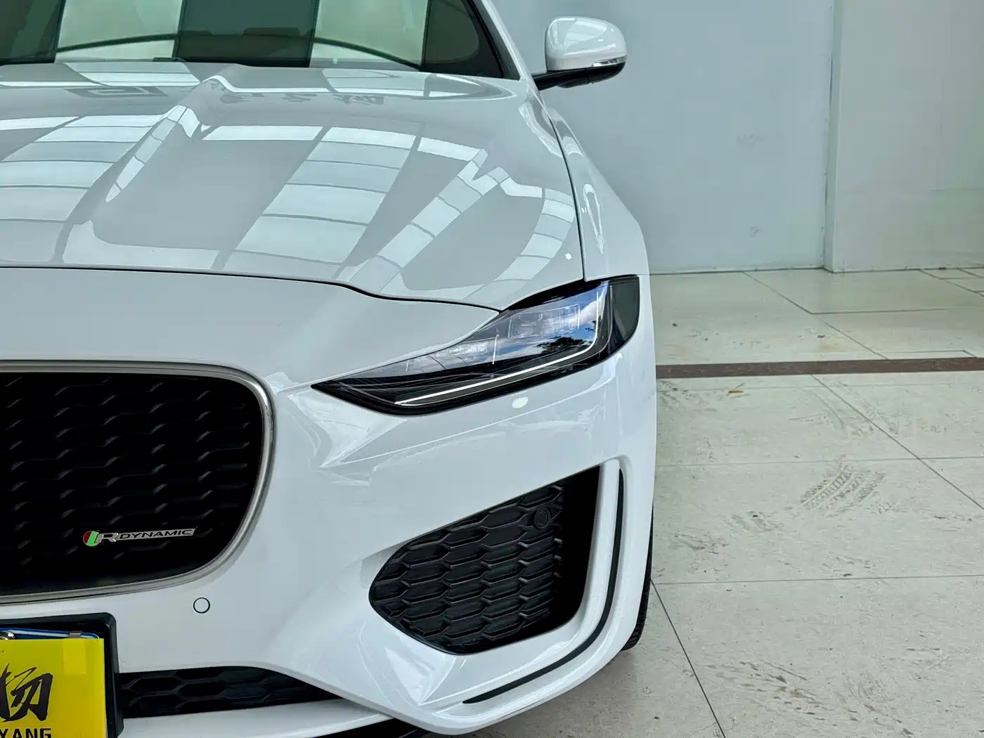 JAGUAR XEL