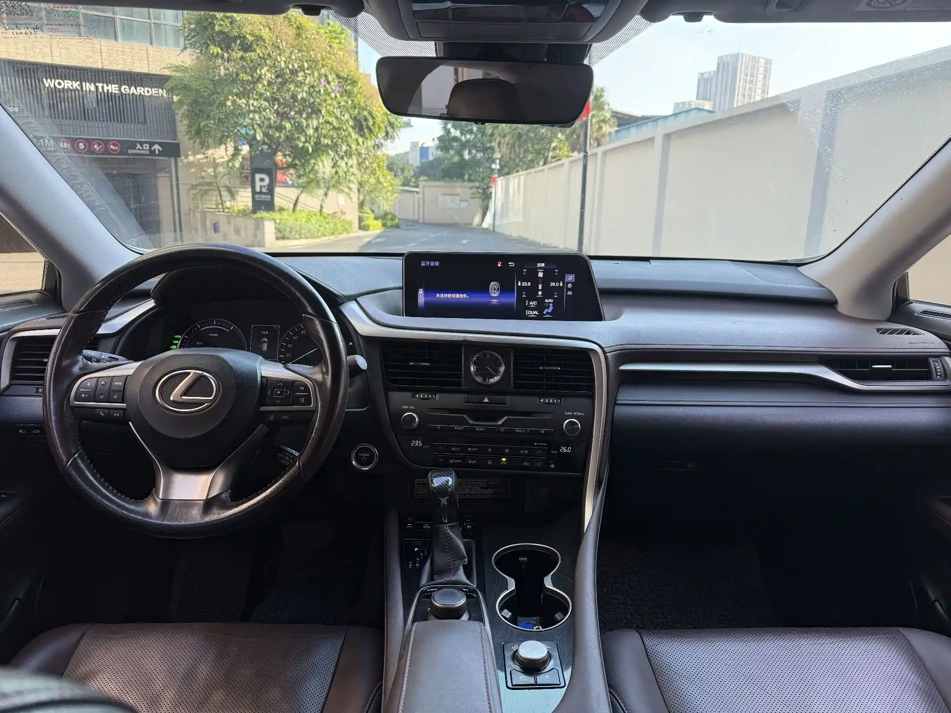 Фото 15 - Lexus RX