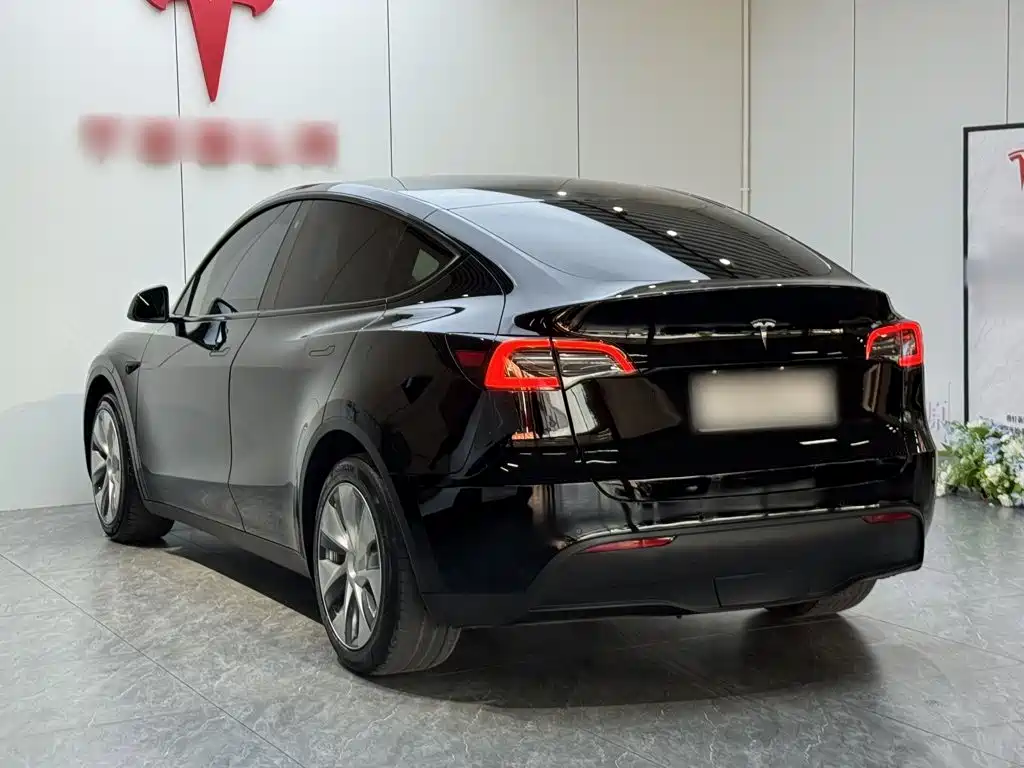 Фото 5 - Tesla Model Y