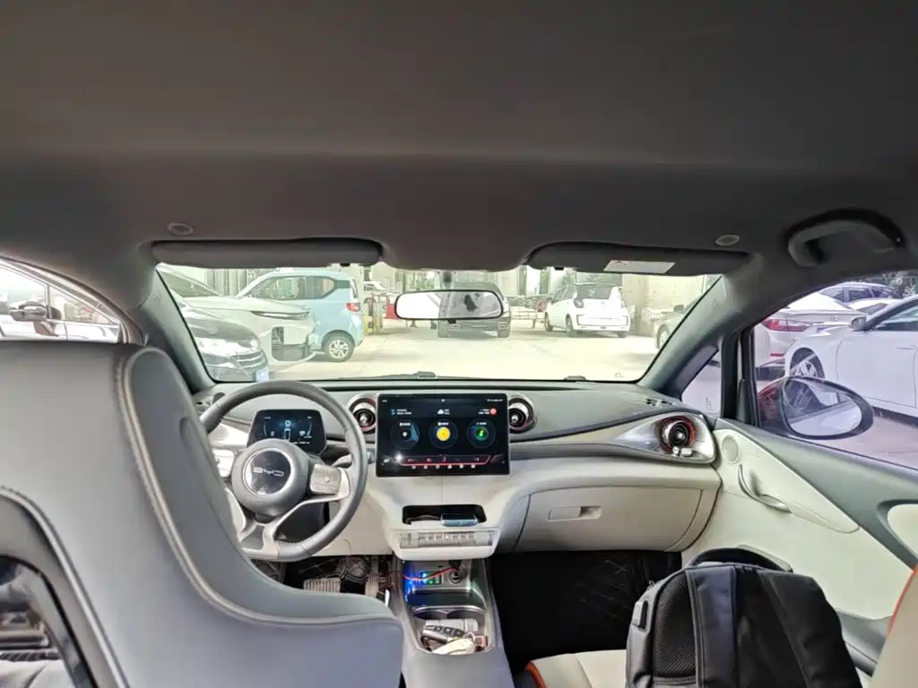 BYD Dolphin 2021 2021 405km Freedom Edition