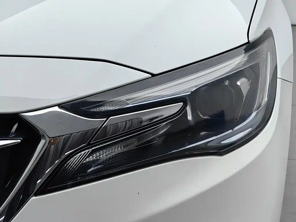 Фото 7 - Buick GL6