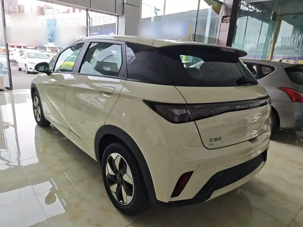 BYD Dolphin 2026 2025 420km Freedom Edition