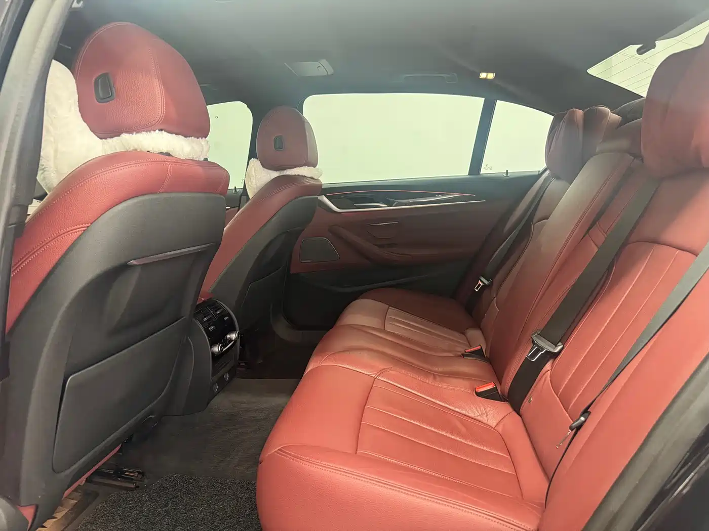 BMW 5 Series 2019 530Li Premium M Sport Package фото 6