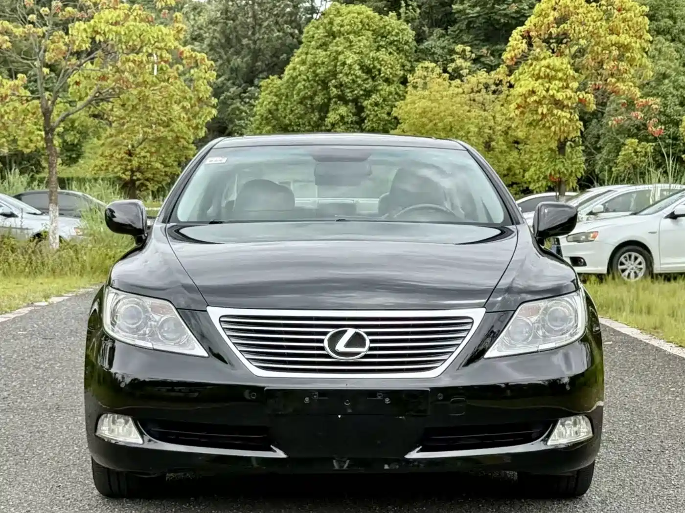 Lexus LS 2007 2006 460L Premium Edition