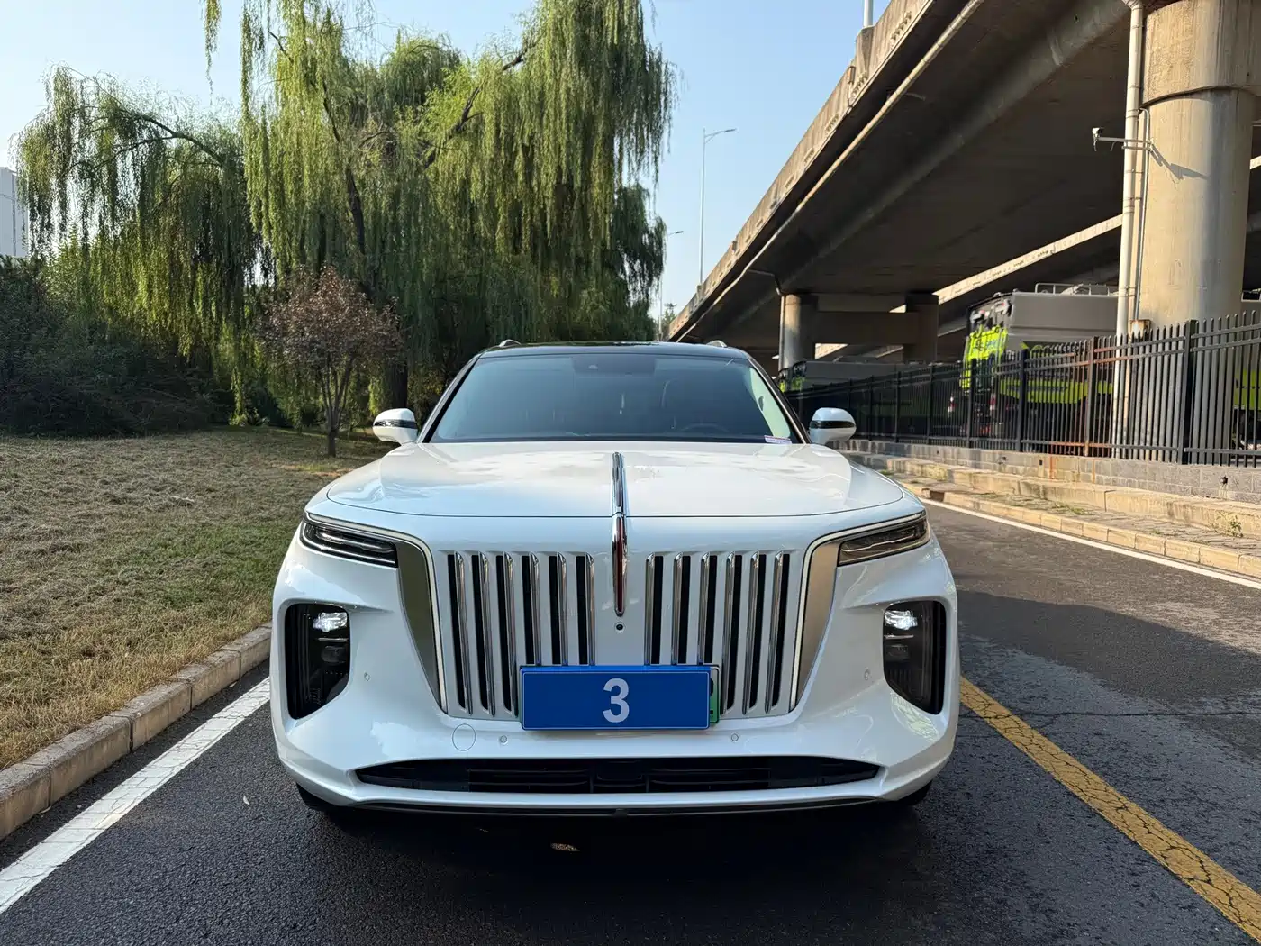 Hongqi E-HS9 2023 2022 690km Qi Xiang Edition (6-seater)