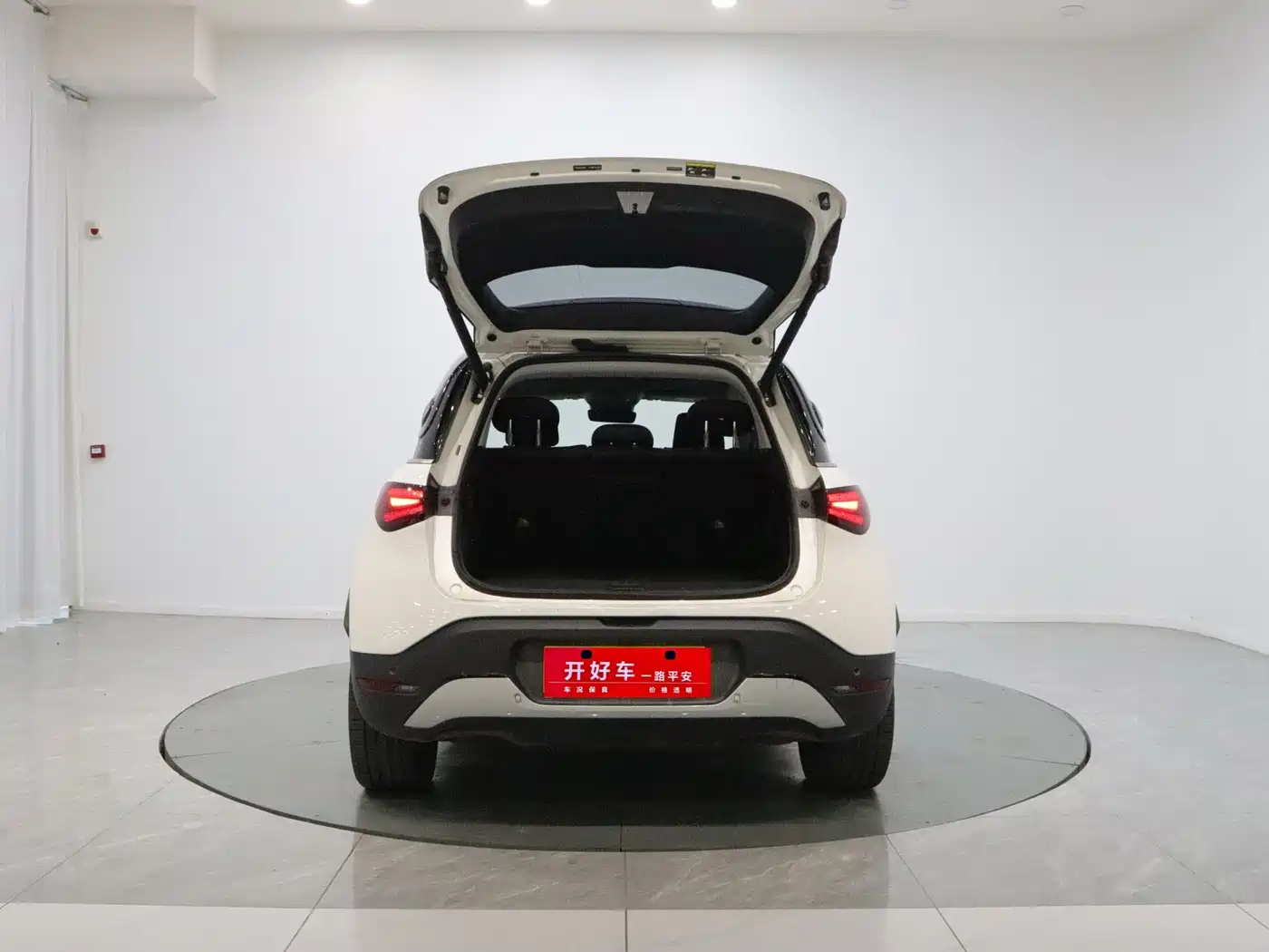 smart Elf #1 2025 2024 Agile Standard Edition