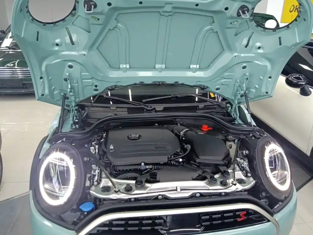 MINI MINI 2025 2025 2.0T COOPER S Artist