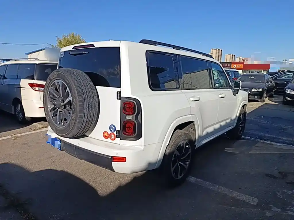 Haval H9 2025 2024 2.0T Gasoline AWD Extreme Edition