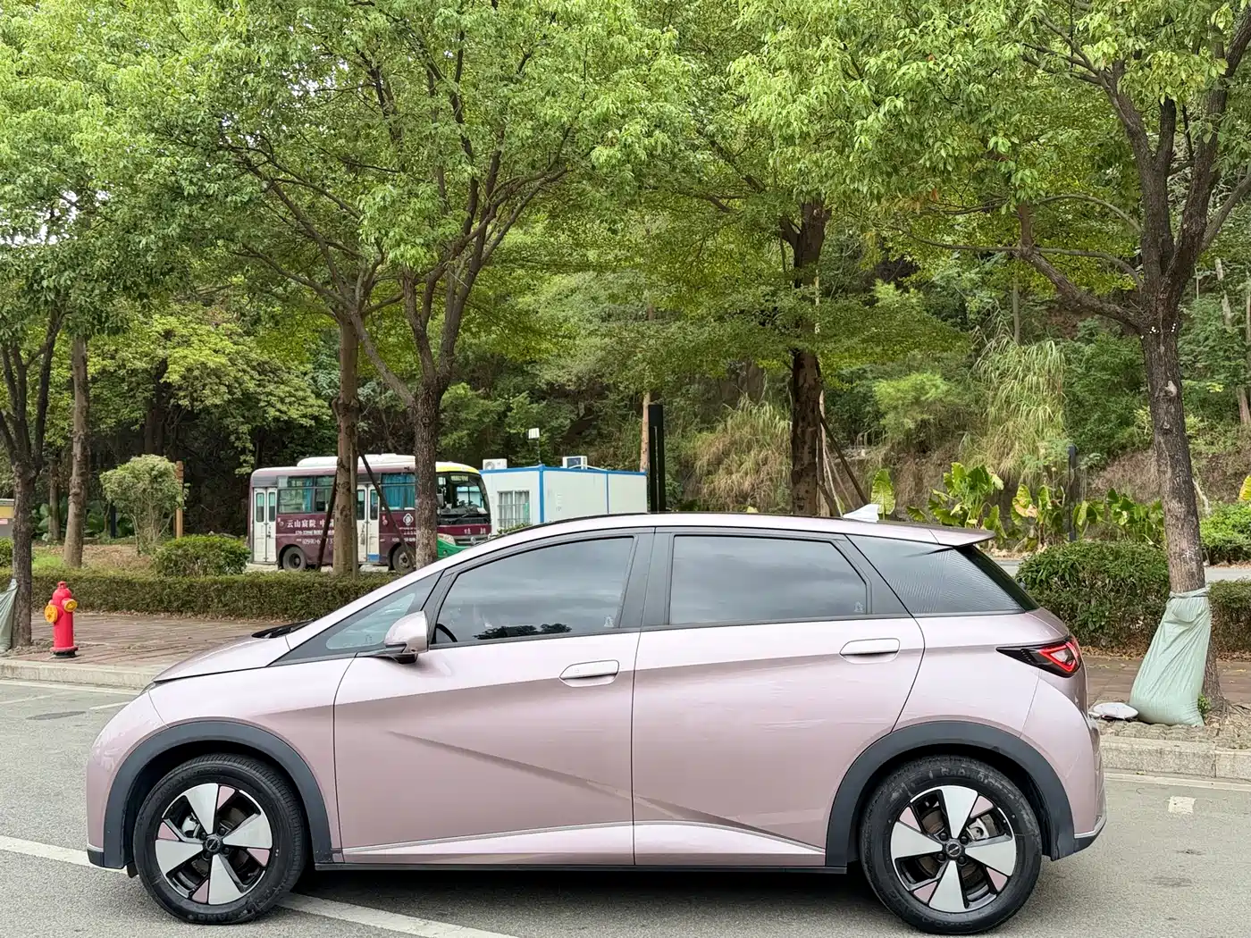BYD Dolphin 2023 420km Fashion Edition фото 13