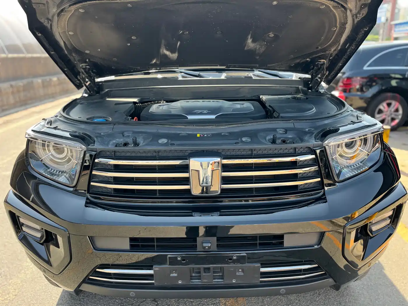 Tank 700 New Energy 2024 Hi4-T Extreme Edition фото 26