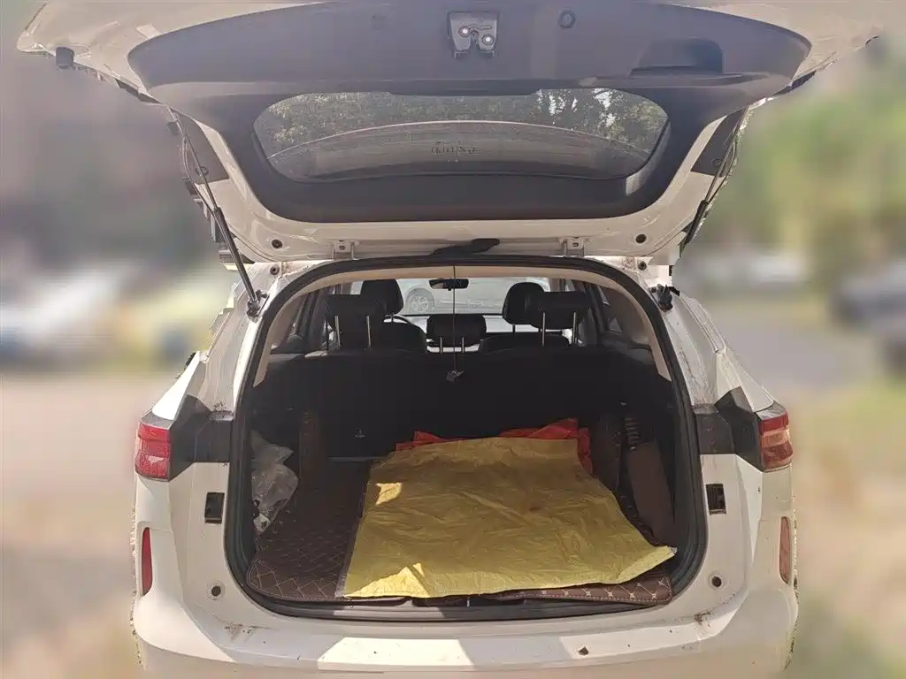Haval H6 2022 3rd Gen 1.5T Auto 2WD Pro фото 10
