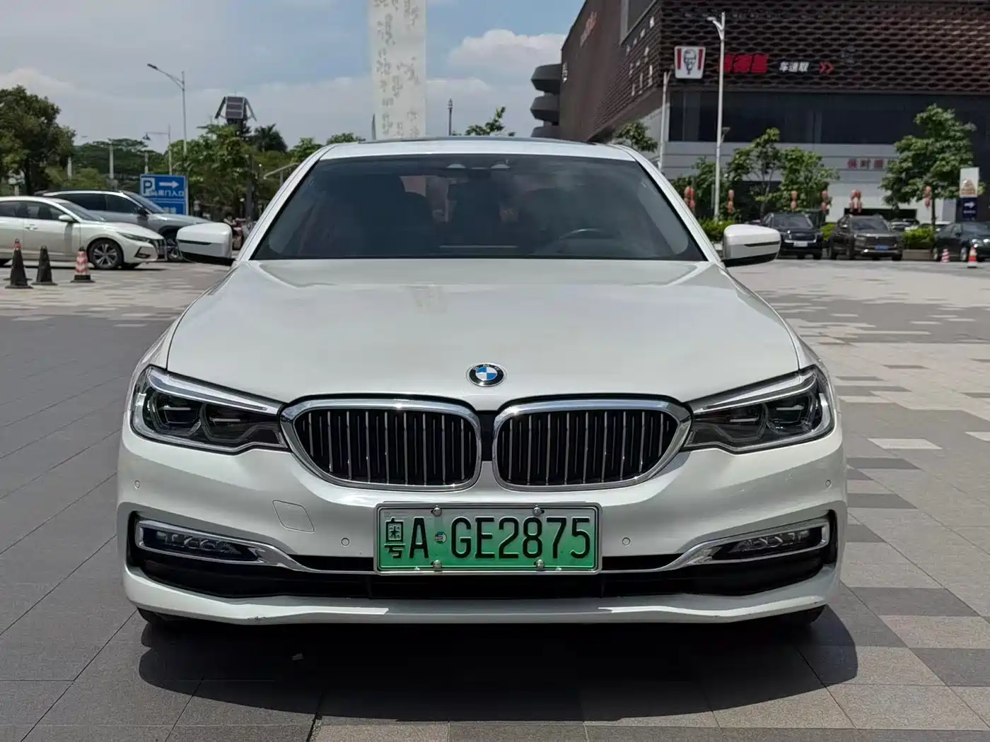 BMW 5 Series New Energy 2019 530Le Luxury Package