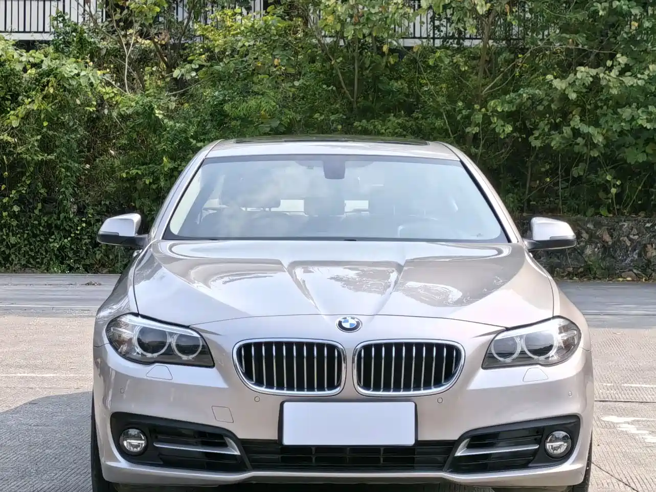BMW 5 Series 2014 525Li Leading фото 2