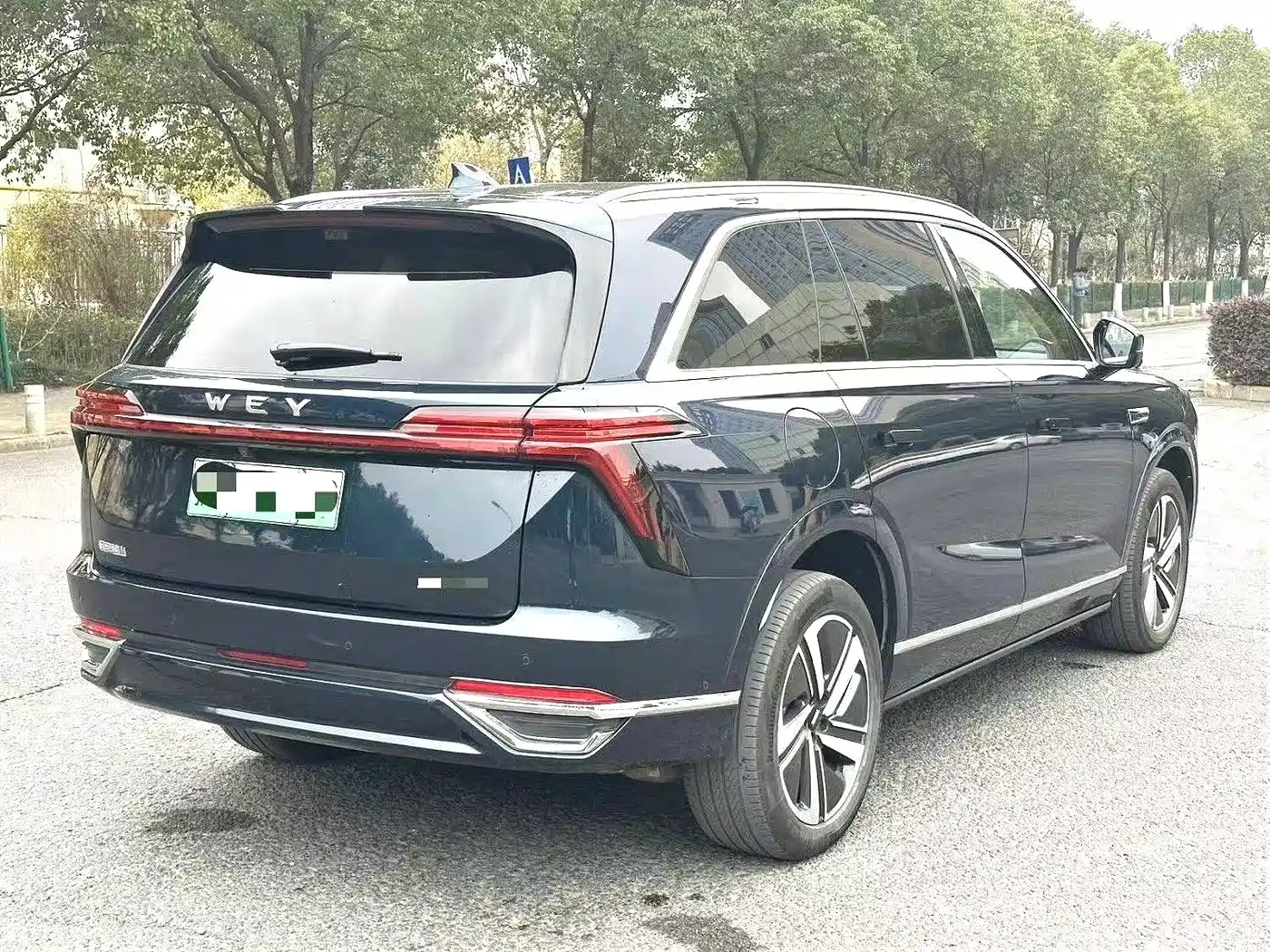 WEI PAI WEI BRAND BLUE MOUNTAIN