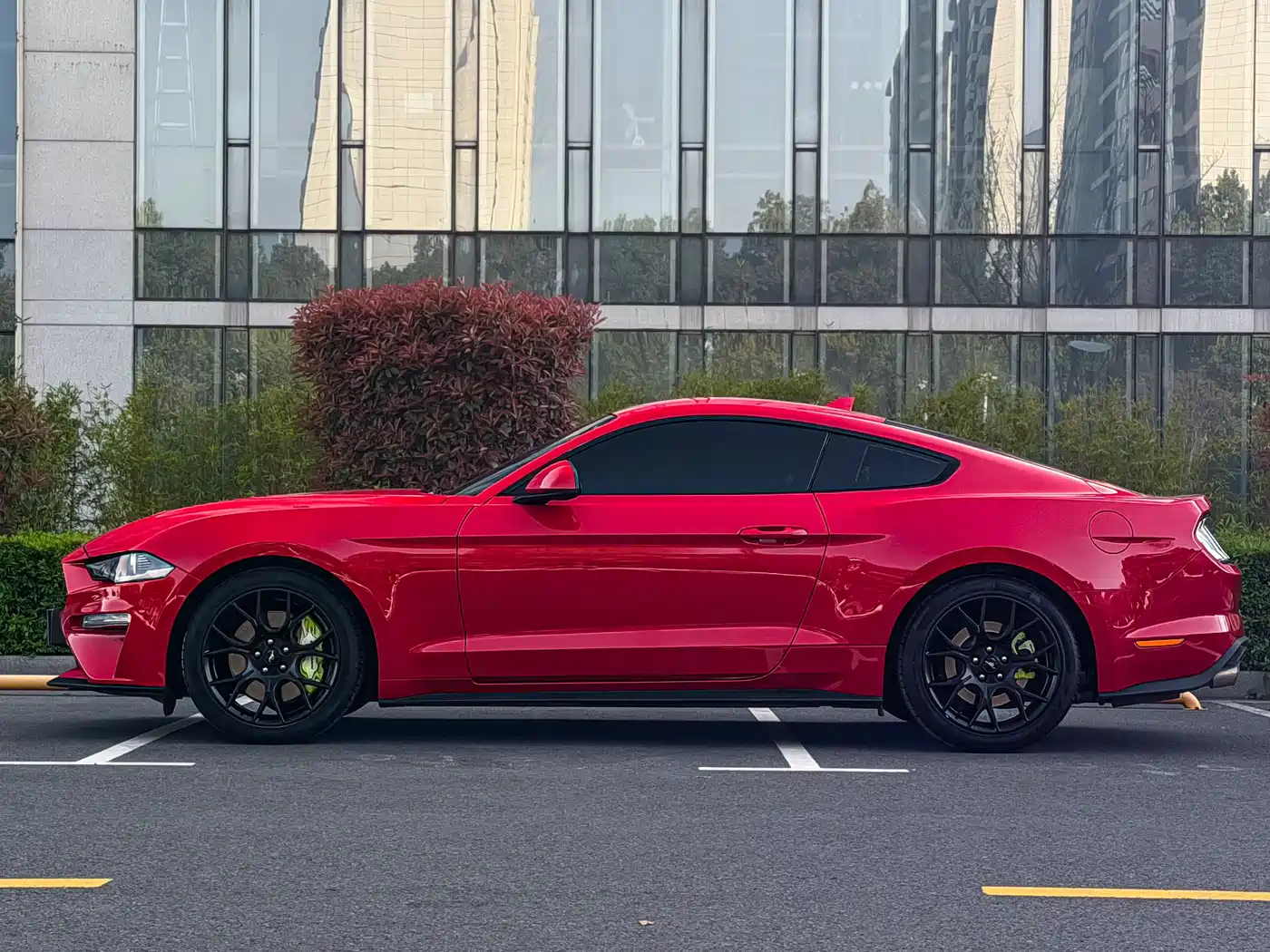 FORD MUSTANG