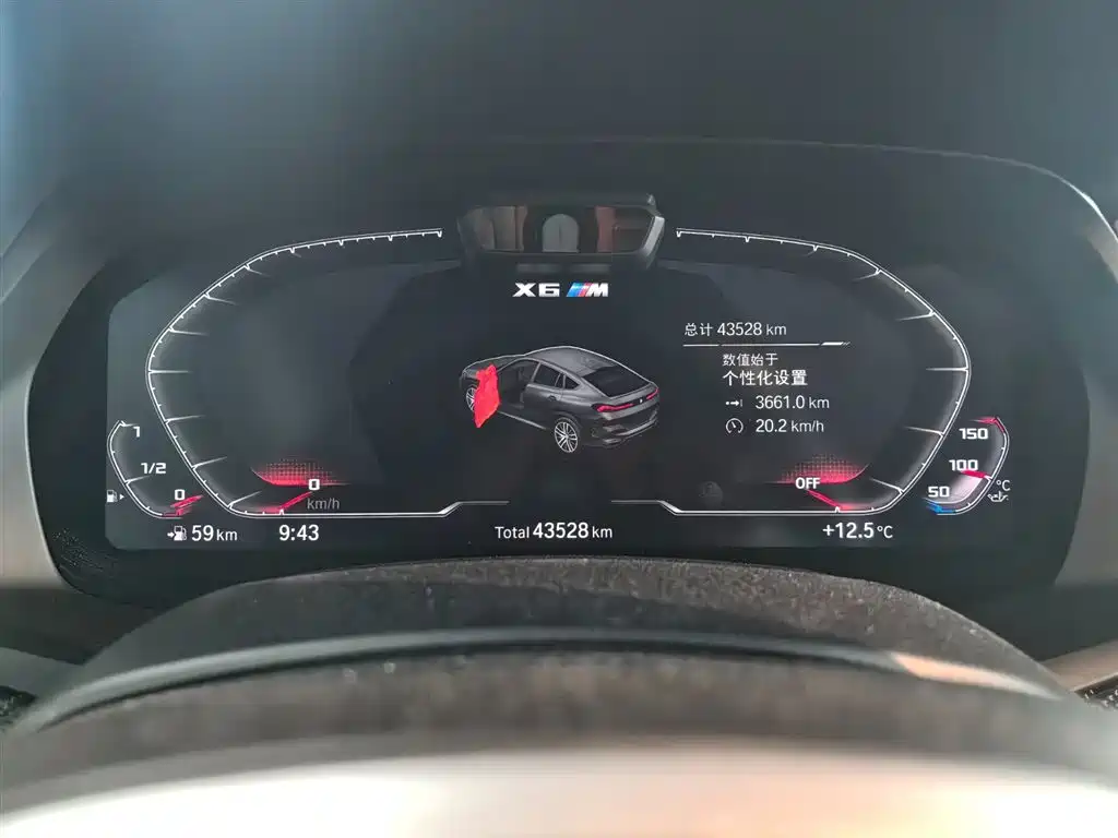BMW X6