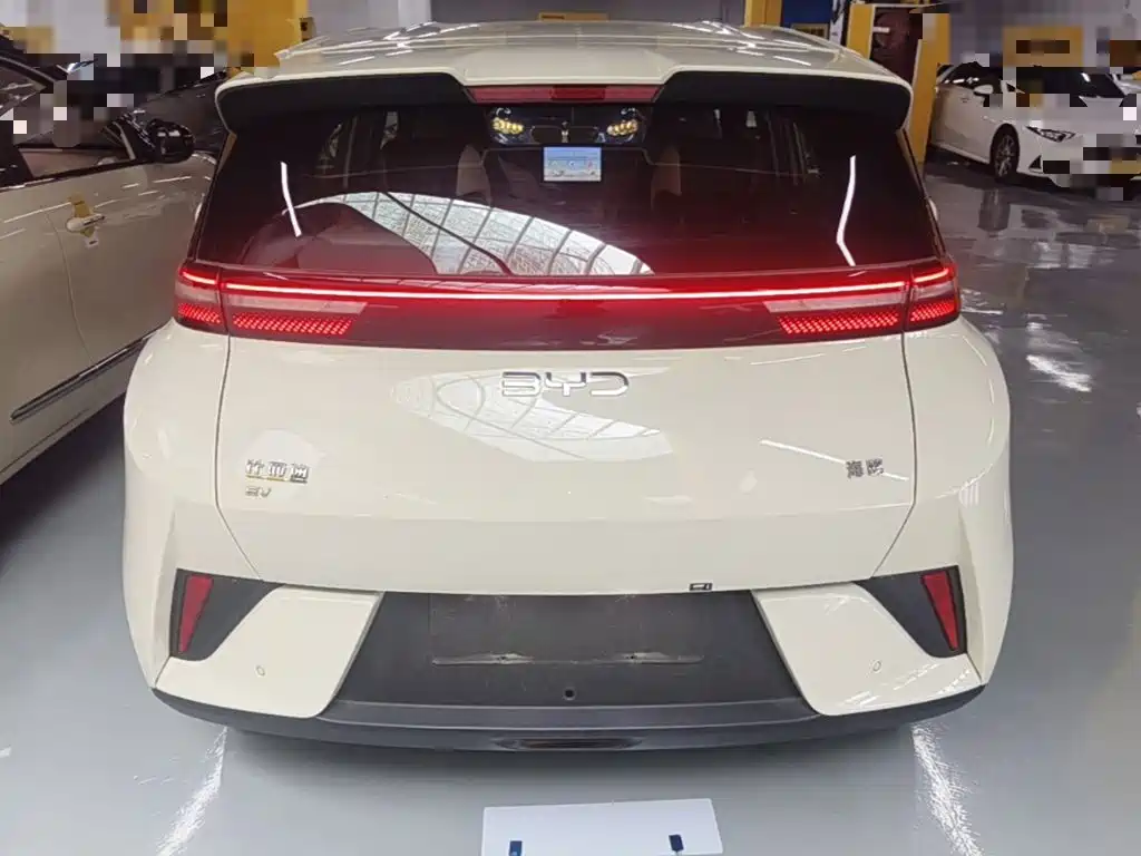 BYD Seagull 2026 2025 Smart Drive Edition 305km Vitality Version