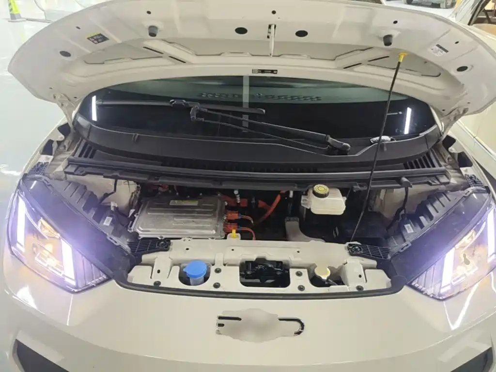 BYD Seagull 2026 2025 Smart Drive Edition 305km Vitality Version