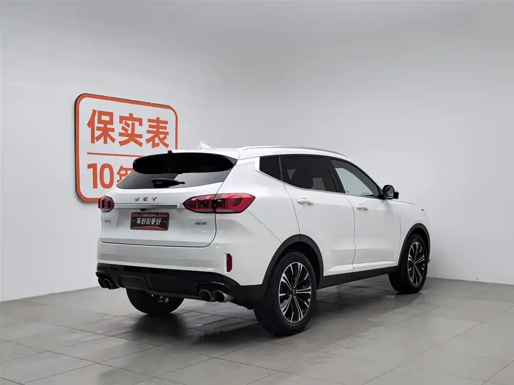 WEI PAI WEI BRAND VV6