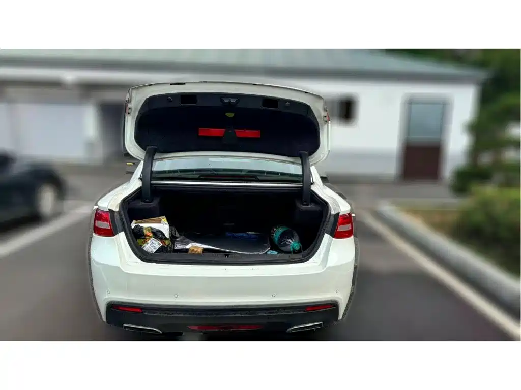 Фото 4 - Geely Borui