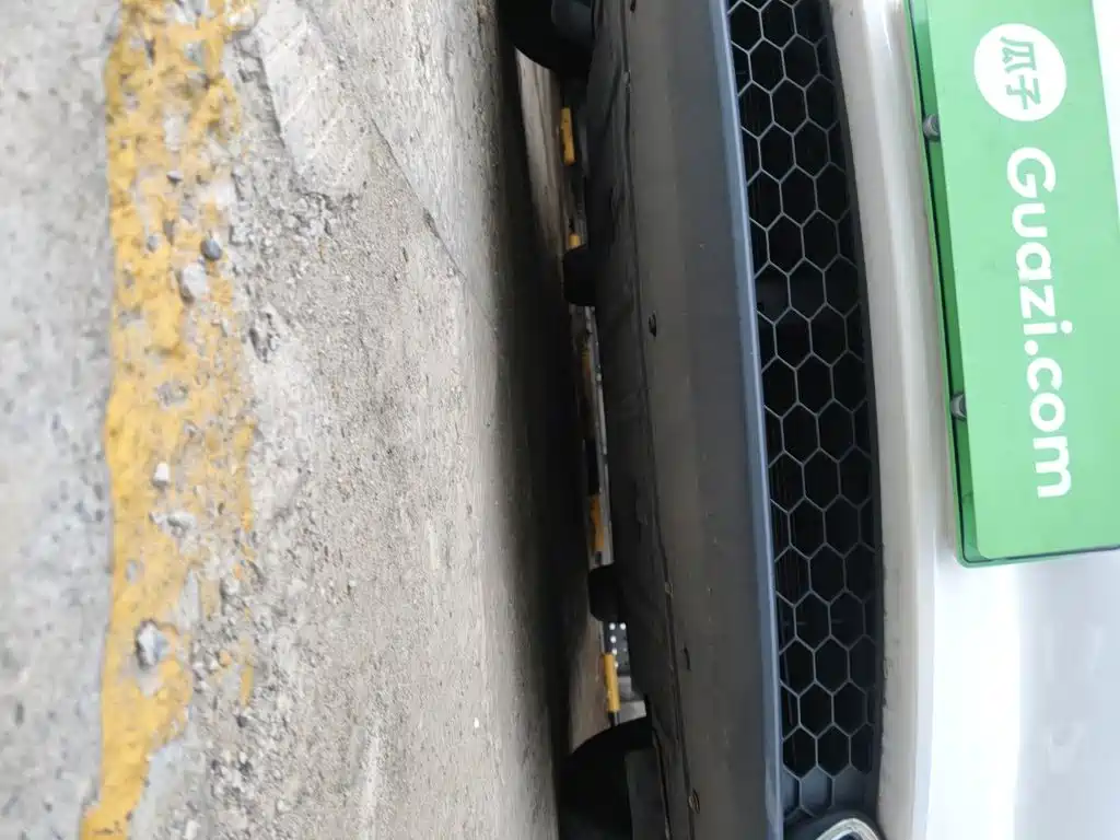 Ora Good Cat 2025 2024 401km Luxury