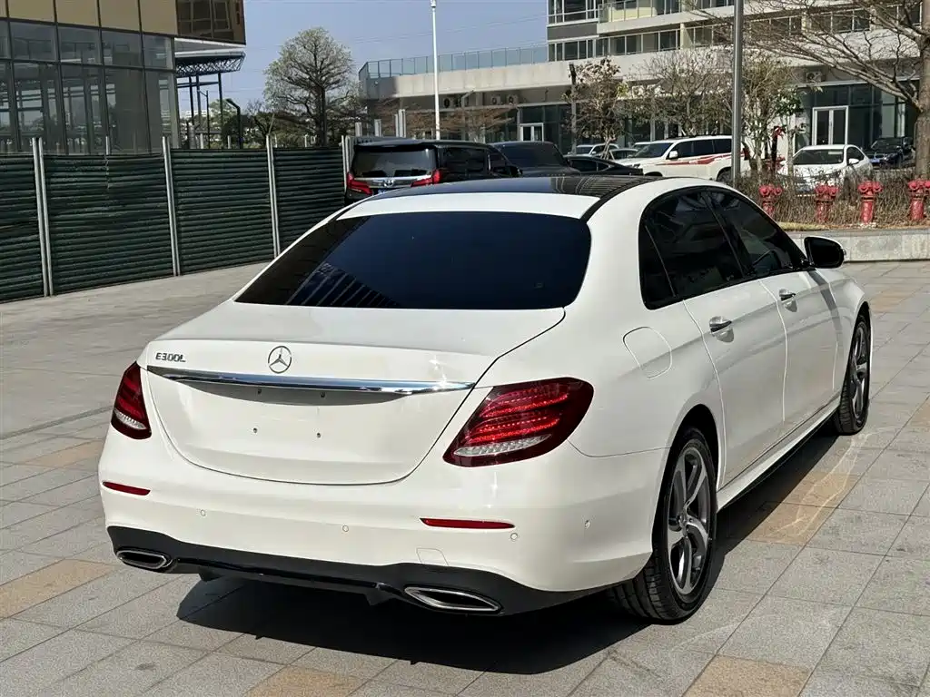 Mercedes-Benz E-Class 2019 E 300 L Sport Fashion фото 7