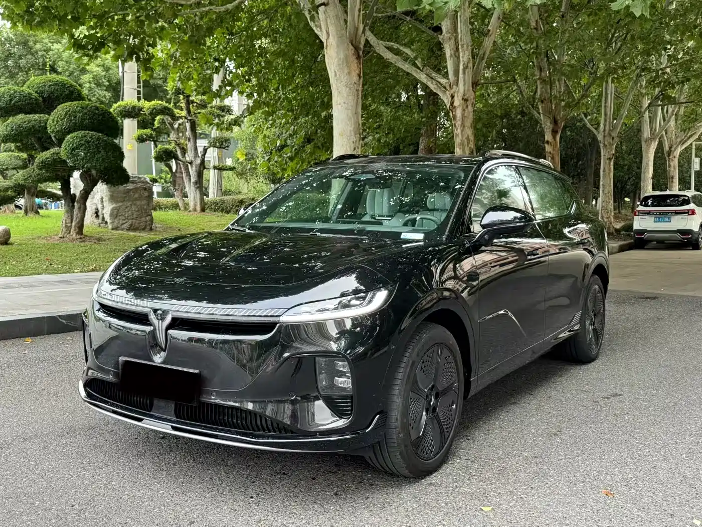 Voyah Auto Voyah Zhiyin 2024 Long Range Super Charging Edition